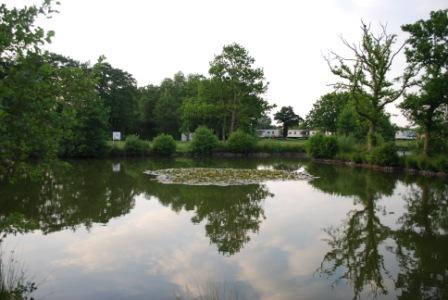 Cobbleacre_alexs