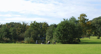 cobbleacre_alexs_lake